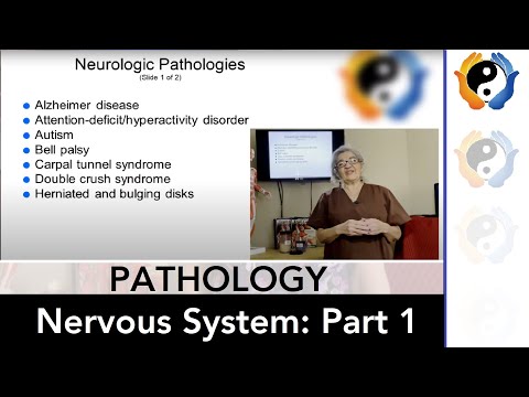 A Massage Therapist's Guide to Pain, Touch, and Perception video review thumbnail