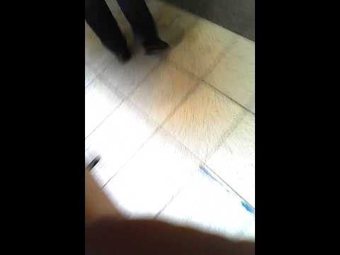 Egzon Gymigangnamstyle