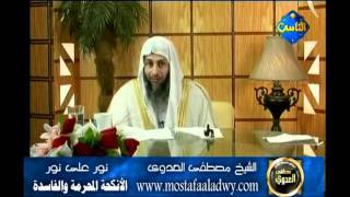 منوعات 280 نور على نور31 5 2010