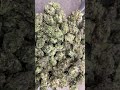 THCa Flower Pounds: Grease Monkey (Indoor)