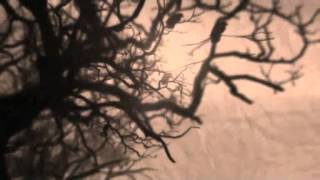 Andrés  Suárez - Rosa y Manuel