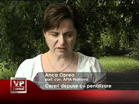 Cereri depuse cu penalizare