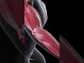 What Is Tennis Elbow (Animation)