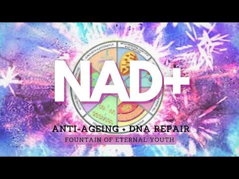 ❋ Powerful NAD+ ~ Anti-Ageing + DNA Repair ~ Fountain of Eternal Youth ~ Gentle Rain Sounds