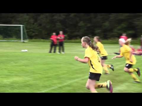 Brandstorps IF- Skultorps IF F99 0-8 0-1 målet