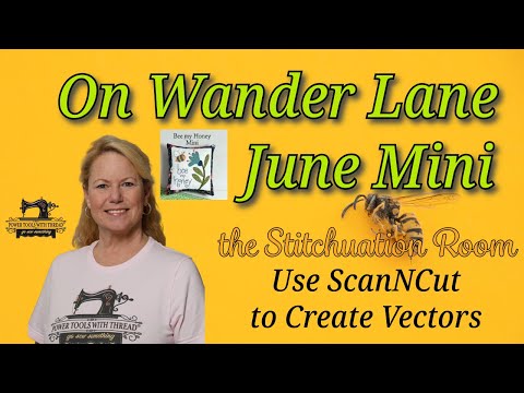 Let's Snapplique the June Mini Quilt from On Wander Lane, The Stitchuation Room