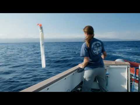 The Loneliest Whale: The Search for 52 (2022) UK Trailer