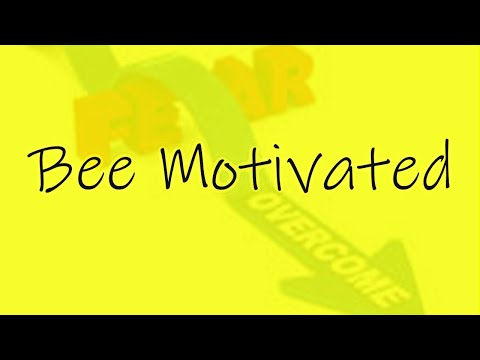 Never Let Fear Hold You Back Motivational 2023