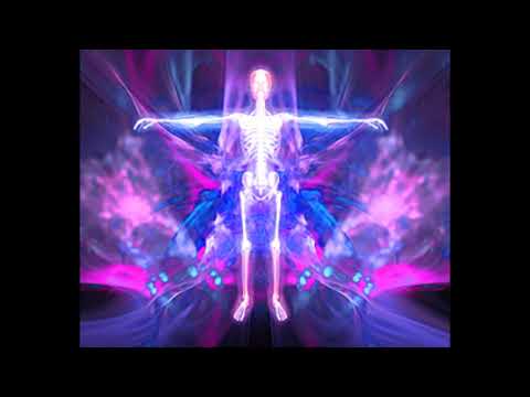 Champitek 07-03-2020