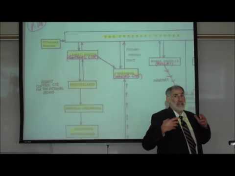 THE LIMBIC SYSTEM & HYPOTHALAMUS by Professor Fink