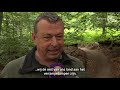 Nieuwe mountainbikeroute bedreigt vliegend hert