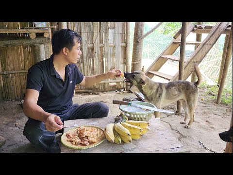 Survival instinct, making breakfast from bananas and milk for wild boars, building a life (EP 168)