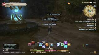 【FF14】#1 初めてのFF！エレDC/Uni鯖