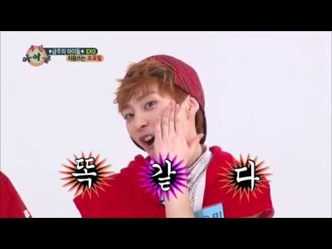 주간아이돌 - (Weekly Idol EP.103)  EXO Xiumin looks like Wonder Girls Sohee