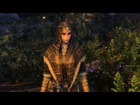 Thief Encounter in Skyrim