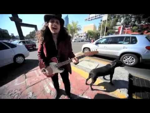 Video Amor Canino de Lazcano Malo