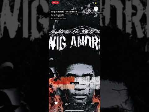 Twig Andretti - In My Brain