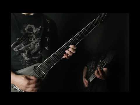 Mesmerized - You have all been f... (full guitar playthrough)