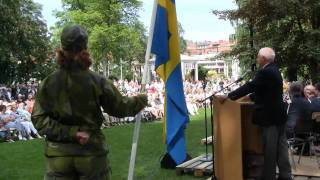 Nationaldagen 2010 i Borås.wmv