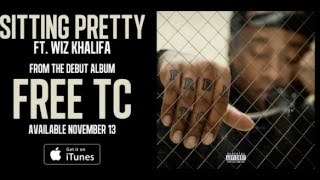 Ty Dolla ign   Sitting Pretty ft Wiz Khalifa Audio