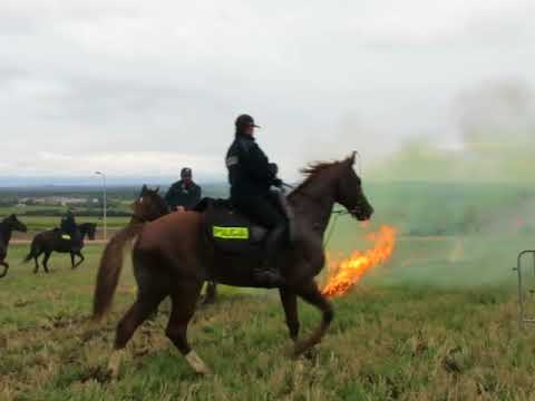 Pokaz policji konnej pod Kopcem   2 09 17