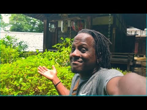 I Took the Wrong Turn in Kyoto&hellip; Here&rsquo;s What Happened 😳🇯🇵