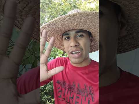 Achaguas estará protegida de las lluvias! 🤠👏🏼 QuéLoQué Cap №04 #apure #achaguas #parati #viral #psuv