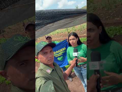Hortaliça 41 Jatobá Maranhão