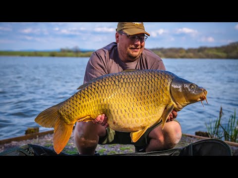 The Carpy Cast - 01-09-2022 - The VERY BEST week carp fishing at Carpfarm Lake this year!
