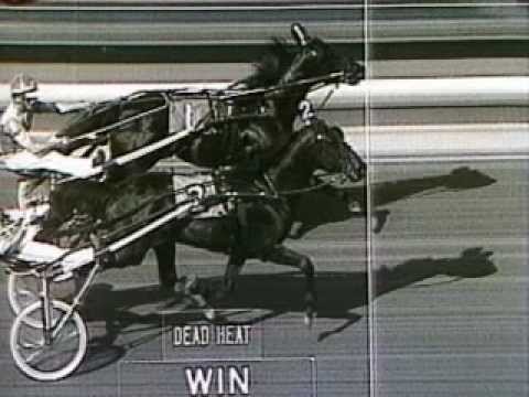 1989 Hambletonian Park Avenue Joe Probe
