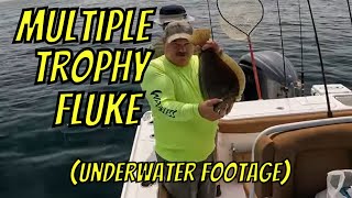 Lost a citation fish with underwater film? Multiple Citations Jigging for Flounder