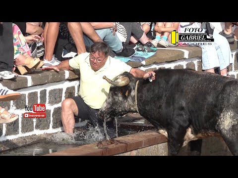 Tourada Vila de São Sebastião 24-07-2025 Ganadeiro C.A.J.A.F.