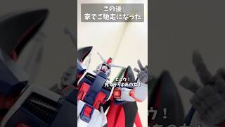 この後家でご馳走になった #gundam #gunpla #ガンプラ #ガンダム #ガンダムseed  #gquuuuuux #ジークアクス  #水星の魔女 #G_Witch #shorts