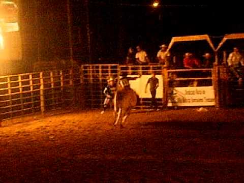 Rodeio Primeiro Rodeio Internacional De Bravos De Santa Clara MT 285