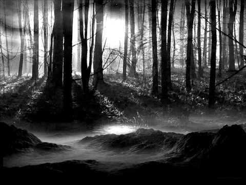 Shadows Of The Fallen - Life Is Over