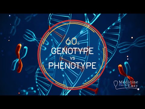 Genetics in 60 seconds: Genotype vs Phenotype