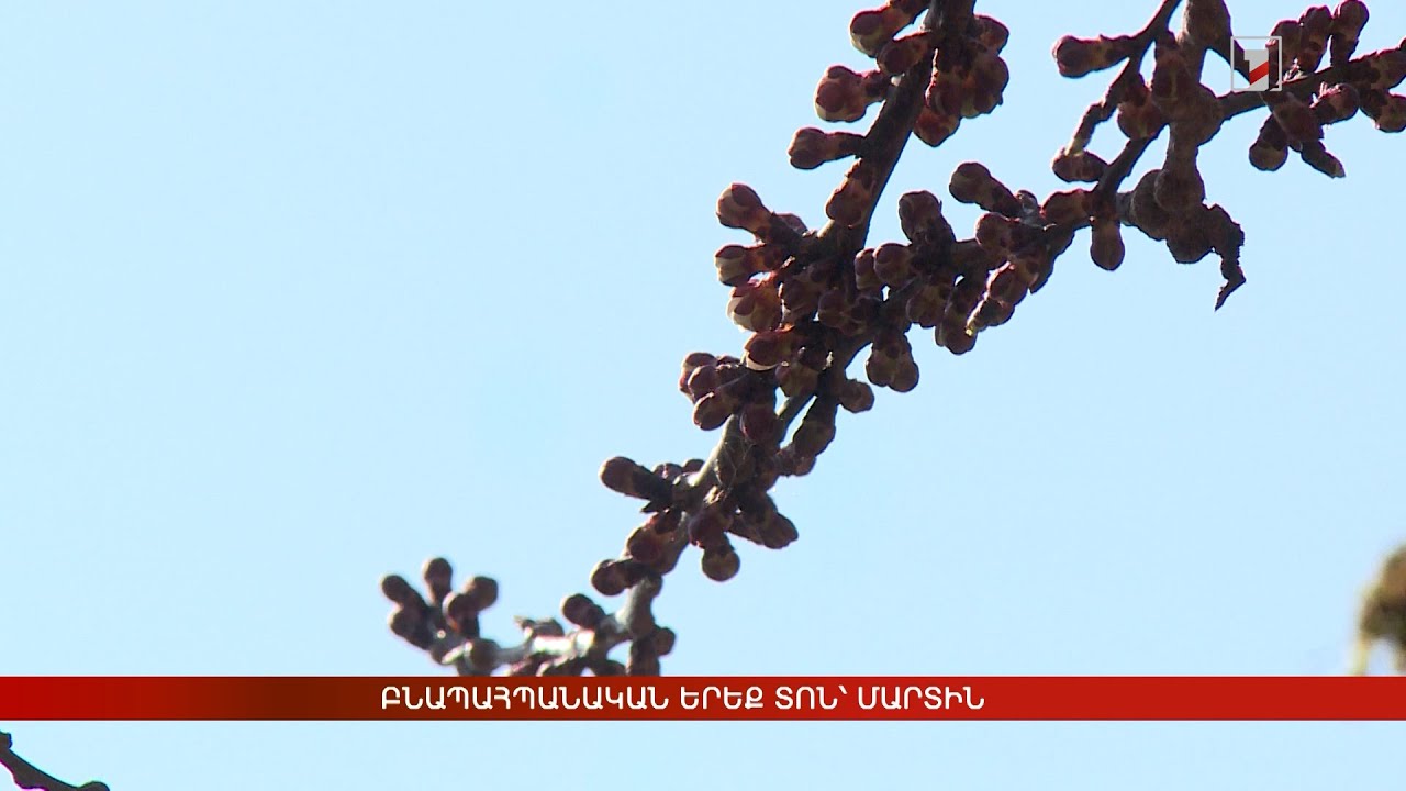 Բնապահպանական 3 տոն՝ մարտին