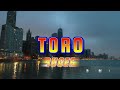 RUGER - TORO ( LYRICAL VIDEO) LYRICS