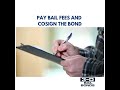 From Arrest to Bail in Connecticut | What Happens After an Arrest? | 3-D Bail Bonds