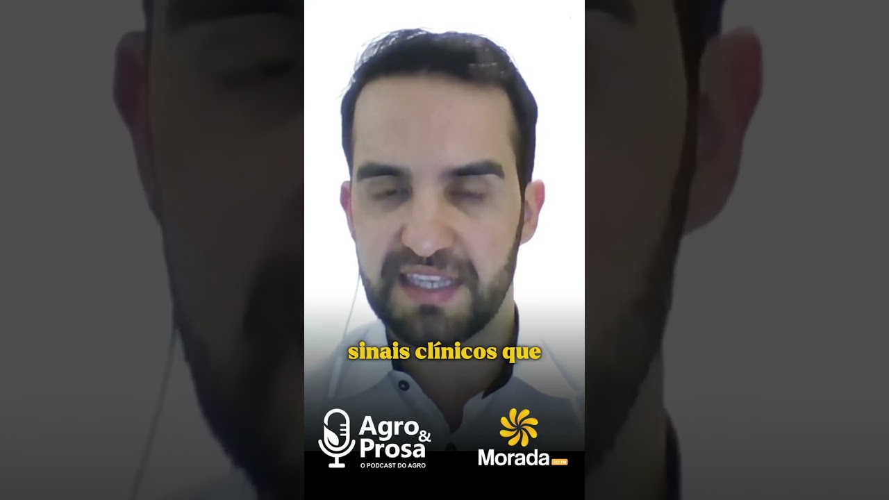 Ácaros podem causar anemia e reduzir a produção de ovos