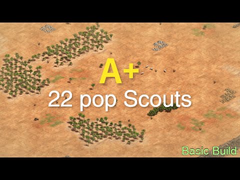 Interactive Build Order Guide | 22 Pop Scouts [A+ Demonstration]