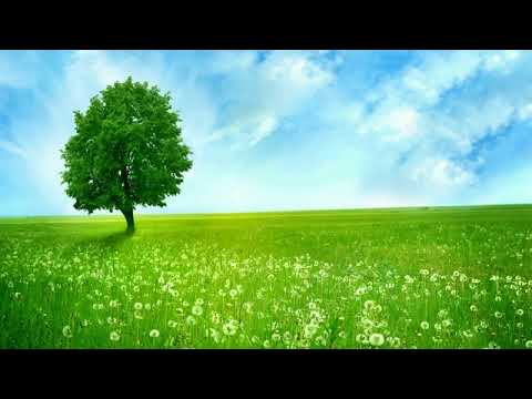 Stăpânește-te-n mânie - video