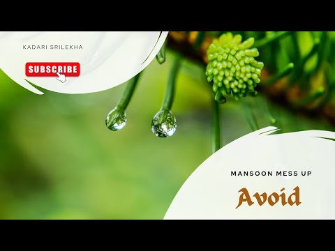 foods to avoid in rainy season