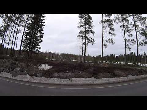 Metsolan Metsäkoulu 148 - Kulissimetsätaloutta