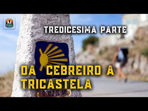 13 – Cammino di Santiago- Da Cebreiro a Tricastela