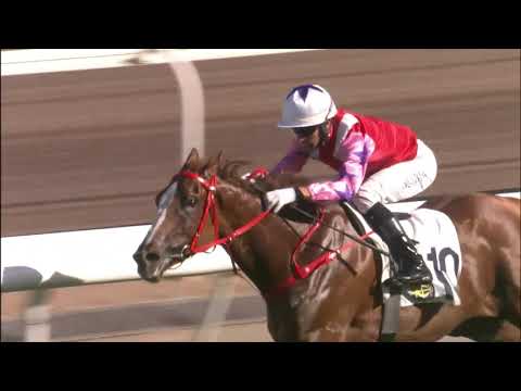 11/7/2021 (824) Drops Of God - J Moreira