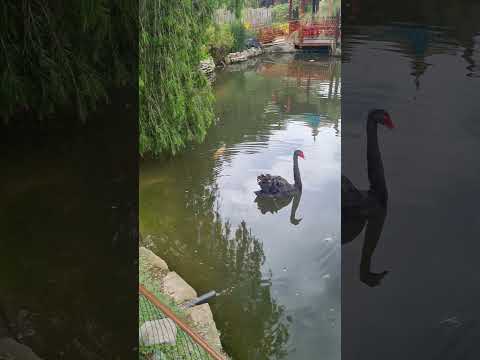 Nova Friburgo - Rio de Janeiro. #novafriburgo #rj #riodejaneiro