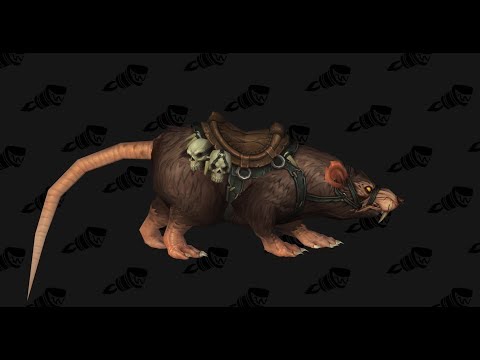 Ratstallion Mount Farm BFA