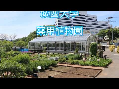2018年度　城西大学薬学部　坂戸キャンパス　薬用植物園紹介 【#城西大学】