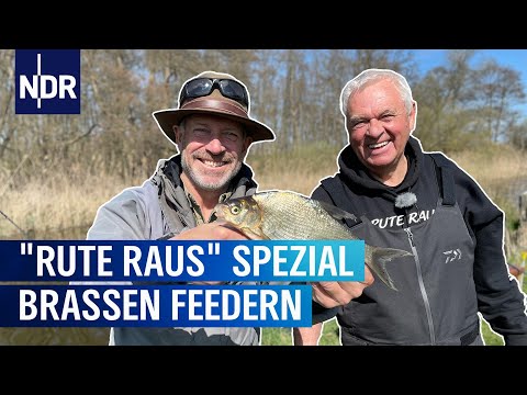 Feedern: Weißfischalarm an der Warnow | Rute raus, der Spaß beginnt | NDR
